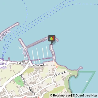 Porti e Servizi Portuali Procida,80079Napoli