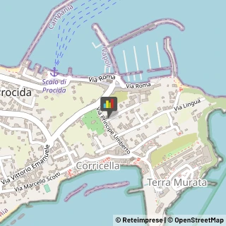 Internet - Provider Procida,80079Napoli