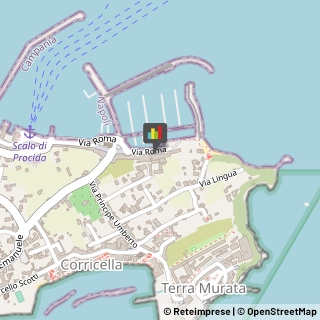 Alimentari Procida,80079Napoli