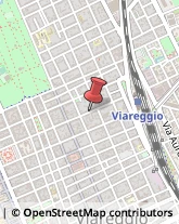 Via 20 Settembre, 139,55049Viareggio