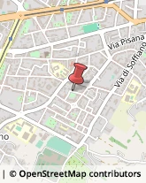 Via Bartolomeo della Gatta, 14,50143Firenze