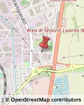 Via Giovanni March, 12/14,57121Livorno