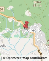Via Castel di Cireglio, 77,51100Pistoia