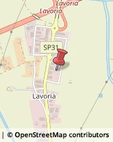 Via Lavoria, 36/E,56040Crespina Lorenzana