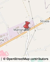 Contrada Marignano, 12/C,62018Potenza Picena