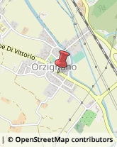Via Giuseppe Di Vittorio, 3,56017San Giuliano Terme