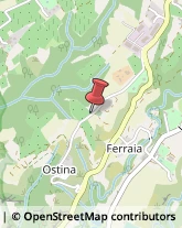 Località Ostina, 39,50066Reggello