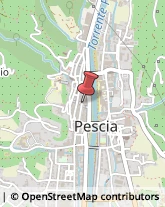 Piazza Mazzini, 100,51017Pescia