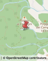 Località Le Foreste, 99,57028Suvereto