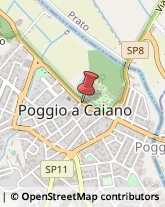 Piazza dei Medici, 11,59016Poggio a Caiano