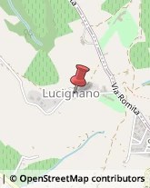 Via Lucignano Alto, 2,50025Montespertoli