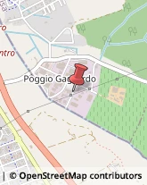 Via Poggio Gagliardo, 4/Bis,56040Montescudaio