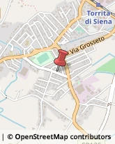 Via Foenna, 28,53049Torrita di Siena
