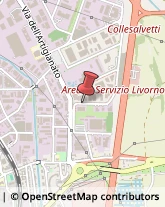 Via degli Arrotini, 5,57128Livorno