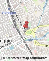 Largo Risorgimento, 9,55049Viareggio