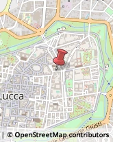 Via della Fratta, 29,55100Lucca