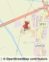Via Lavoria, 105,56040Crespina Lorenzana
