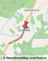 Via Vicchio, 60,50022Greve in Chianti