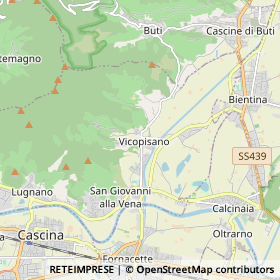 Mappa Vicopisano