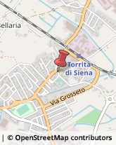Via Marche, 4,53049Torrita di Siena