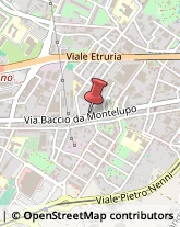 Via Baccio da Montelupo, 40/E,50142Firenze