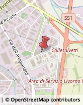 Via degli Arrotini, 90,57121Livorno