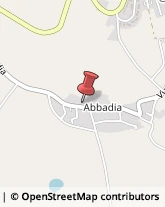 Via Abbadia, 41,60027Osimo