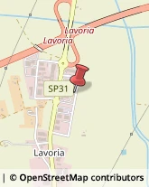 Via Lavoria, 61,56040Crespina Lorenzana