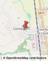 Località Ceciliano, 73/2,52100Arezzo