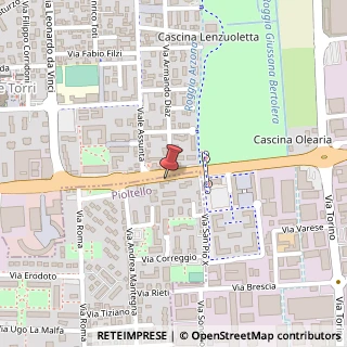 Mappa Strada Padana Superiore, 21, 20096 Pioltello, Milano (Lombardia)