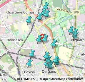 Mappa Via Pellegrino Rossi, 20100 Milano MI, Italia (1.066)