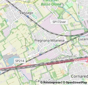 Mappa 20006 Pregnana Milanese MI, Italia (0.5485)