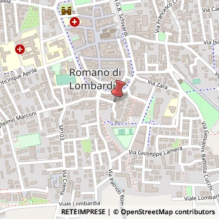 Mappa Vicolo San Giorgio,  14, 24058 Romano di Lombardia, Bergamo (Lombardia)