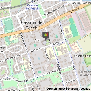 Feste - Organizzazione e Servizi Cassina de' Pecchi,20051Milano