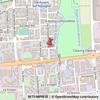 Mappa Via Giovanni Amendola,  6, 20063 Cernusco sul Naviglio, Milano (Lombardia)