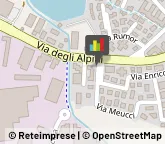 Pratiche Automobilistiche,36043Vicenza