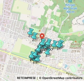 Mappa Via Disciplina, 25086 Rezzato BS, Italia (0.355)