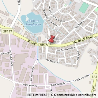 Mappa Via degli Alpini, 8, 36043 Camisano Vicentino, Vicenza (Veneto)