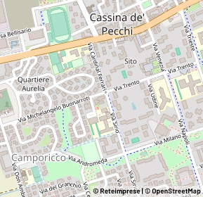 Mappa Via sirio, 20060 Cassina De Pecchi MI, Italia (0.17692)