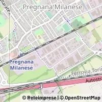 地図 Pregnana Milanese