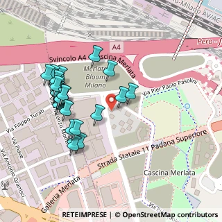 Mappa Via Capo Rizzuto, 20151 Milano MI, Italia (0.24815)