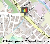 Dietologia - Medici Specialisti,36071Vicenza
