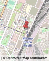 Via Piero Caldirola, 6,20212Milano