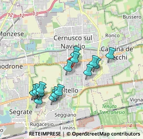 Mappa Via Giorgione, 20096 Pioltello MI, Italia (1.74875)