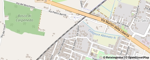 Mappa Venedig