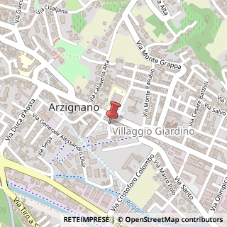 Mappa Via Pellizzari Antonio, 125, 36071 Arzignano, Vicenza (Veneto)