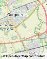 Agenzie Immobiliari Gorgonzola,20064Milano