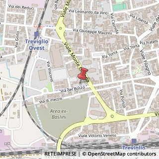 Mappa Via del Bosco, 2, 24047 Treviglio, Bergamo (Lombardia)