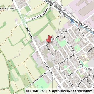 Mappa Via IV Novembre, 49, 20010 Pregnana Milanese, Milano (Lombardia)
