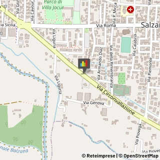 Trasporti Internazionali Salzano,30030Venezia